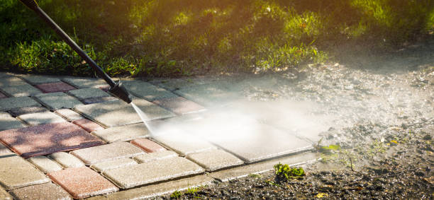 Best Animal Enclosure Cleaning  in West Park, CA