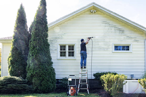 Best Solar Panel Cleaning  in West Park, CA
