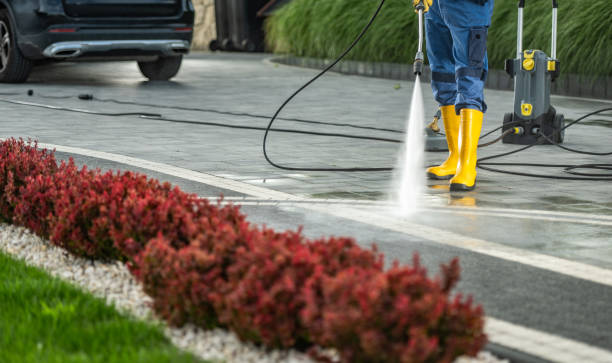 Boat and Dock Cleaning in West Park, CA